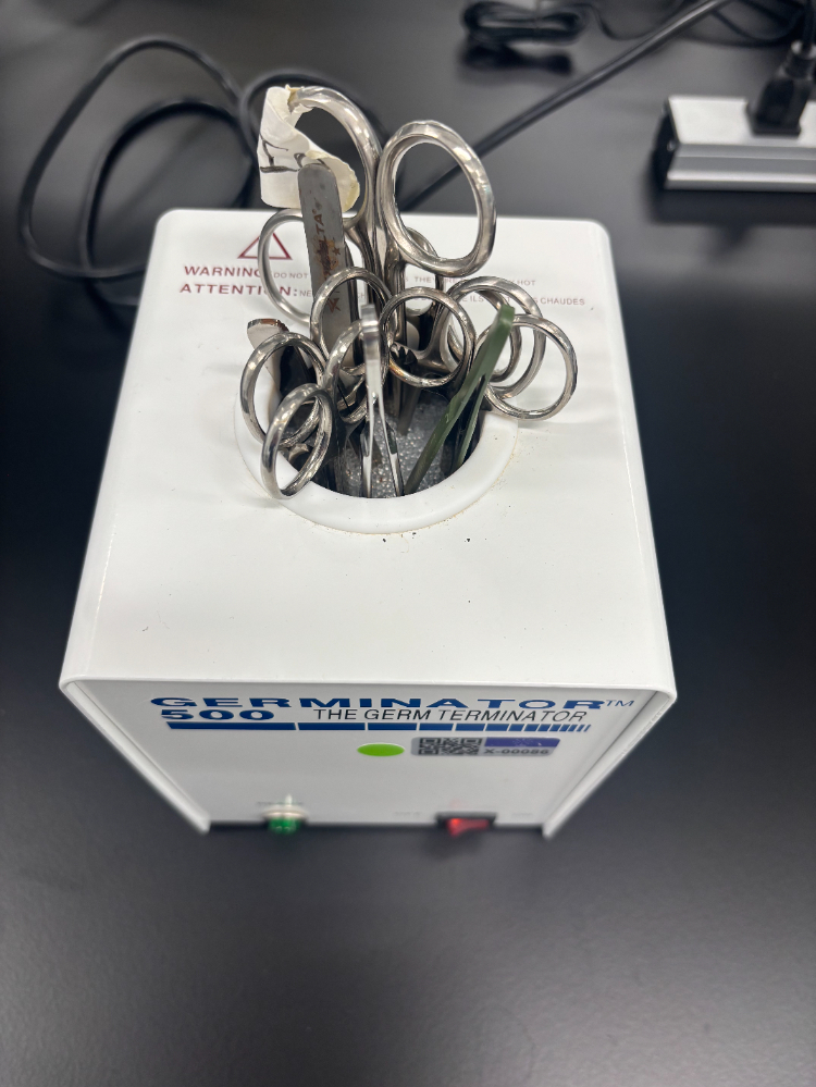 Image of CellPoint Germinator 500 Bead Sterilizer